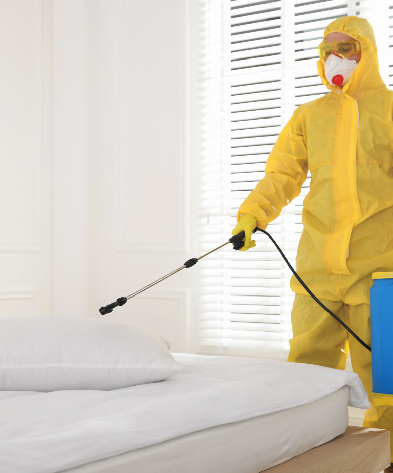 Professional Pest Control Team in Wynn Vale